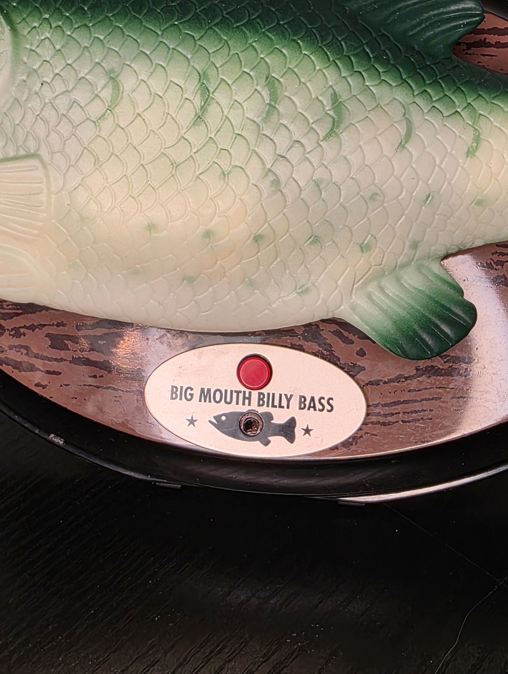 Singing Fish - Green - Picture 3 of 10